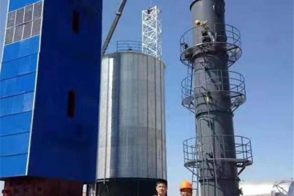 中儲糧鍋爐除塵脫硫一體化